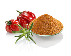 Poulet Gewürz GastroFix Würzmischung