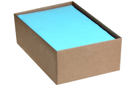 Papier absorbant CARNASEC 2 x 6 kg dans carton