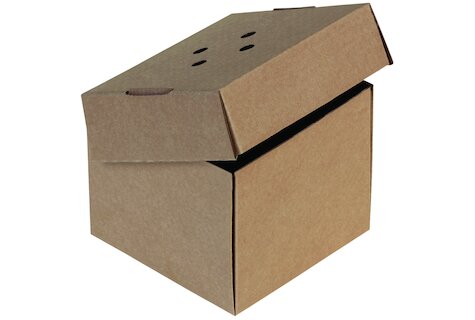 Klapp-Box für Hamburger aus feiner Welle Kraft