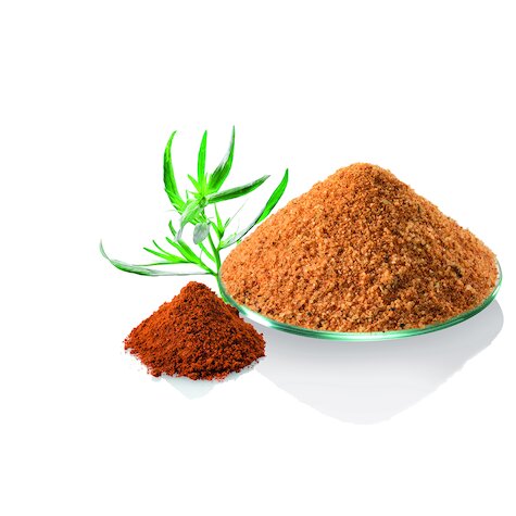 Épices pour frites trad. GastroFix Mélange de condiments