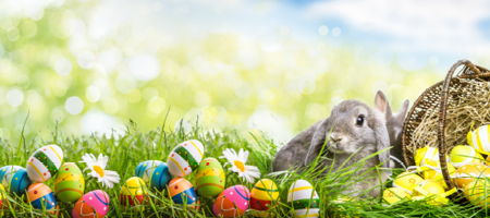 Öffnungszeiten und Bestellschluss Ostern